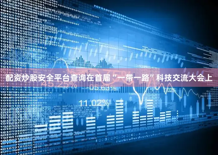 配资炒股安全平台查询在首届“一带一路”科技交流大会上